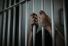 लड़कियों को निशाना बनाकर करता था कैंची अटैक, नोएडा पुलिस ने दबोचा साइको अकाउंटेंट Crime