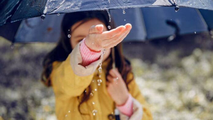 Weather Weather