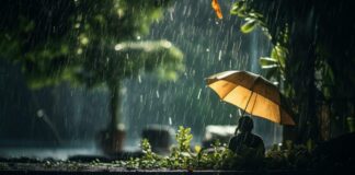 अगले 17 घंटे भारी पड़ेंगे! 19 राज्यों में तेज आंधी-बारिश का रेड अलर्ट Weather Update