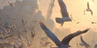 कबूतरों से हो गए हैं परेशान? बिना जाल और खर्च के ऐसे भगाएं बालकनी से दूर pigeon control tips,