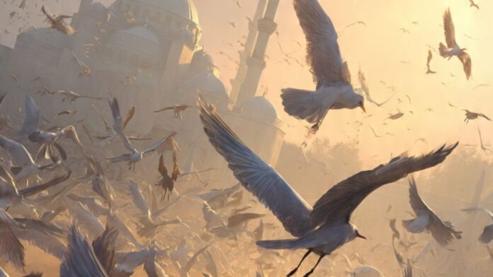 pigeon control tips,