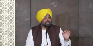 फर्जी वीडियो के मास्टरमाइंड की जानकारी मिली, जांच पूरी होते ही होगा पर्दाफाश: भगवंत मान Bhagwant Mann On Fake Video