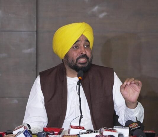 फर्जी वीडियो के मास्टरमाइंड की जानकारी मिली, जांच पूरी होते ही होगा पर्दाफाश: भगवंत मान Bhagwant Mann On Fake Video