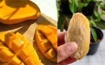 चमत्कारी है आम की गुठली! सेहत और सौंदर्य के लिए बेहद फायदेमंद Mango Seed Benefits