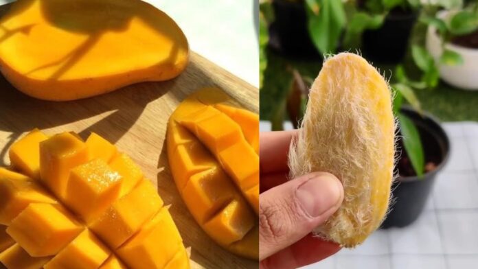 gemini Mango Seed Benefits