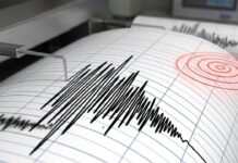 पाकिस्तान में महसूस हुए तेज भूकंप के झटके, रिएक्टर स्केल पर 5.4 रही तीव्रता Pakistan Earthquake
