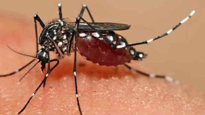 jharkhand malaria death east singhbhum malaria death malaria new malaria death in jhar