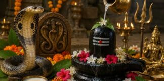 Nag Panchami 2026: कब है व्रत? जानें पूजा विधि, शुभ मुहूर्त और धार्मिक महत्व Nag Panchami 2026