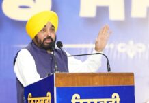 ई-20 पेट्रोल पर CM भगवंत मान का बड़ा दावा, बोले- वाहनों में बढ़ रही हैं समस्याएं Bhagwant Mann, E20 Petrol