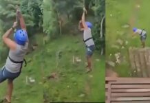 40 फीट ऊंचाई से गिरा युवक, जिपलाइन टूटने का वीडियो वायरल Youth falls from 40 foot height after zipline snaps video from Karnataka goes viral
