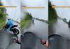 एक सेकंड की देरी और सब खत्म! बाइकर का हैरान कर देने वाला VIDEO वायरल Biker cheats death and returns viral video will make your hair stand on end