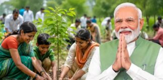 ‘एक पेड़ मां के नाम’ अभियान से चमका UP, पीएम मोदी ने ‘मन की बात’ में सराहा Maan Ki Baat