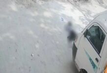 वृंदावन में बंदरों का कहर: खाना खिलाते समय 15 फीट नीचे गिरी 13 वर्षीय बच्ची, दर्दनाक मौत Vrindavan Monkey Attack