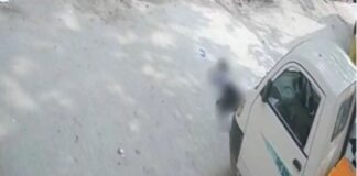 वृंदावन में बंदरों का कहर: खाना खिलाते समय 15 फीट नीचे गिरी 13 वर्षीय बच्ची, दर्दनाक मौत Vrindavan Monkey Attack