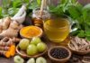 मानसून में बीमारियों से बचना है? आज ही डाइट में जोड़ें ये 7 हेल्दी फूड्स fresh fruits