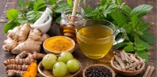 मानसून में बीमारियों से बचना है? आज ही डाइट में जोड़ें ये 7 हेल्दी फूड्स fresh fruits