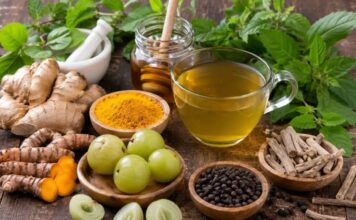 मानसून में बीमारियों से बचना है? आज ही डाइट में जोड़ें ये 7 हेल्दी फूड्स fresh fruits