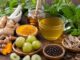 मानसून में बीमारियों से बचना है? आज ही डाइट में जोड़ें ये 7 हेल्दी फूड्स fresh fruits