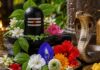 17 अगस्त को सावन सोमवार और नाग पंचमी का बन रहा शुभ संयोग, पूजा में जरूर चढ़ाएं ये खास पुष्प nag panchami upay