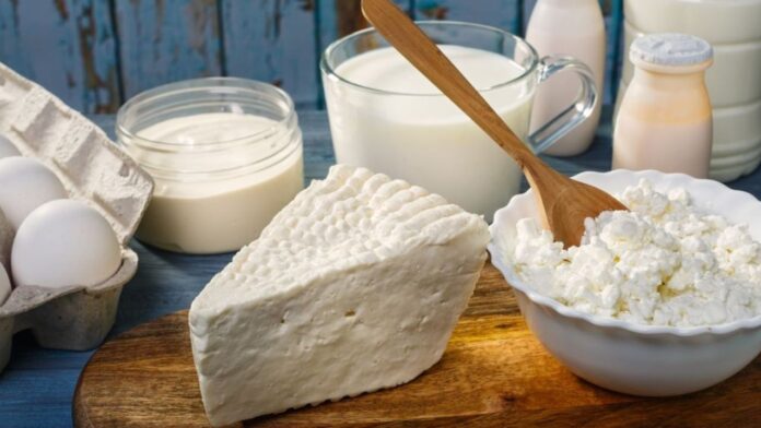 Analogue Dairy Product Analogue Dairy Product