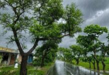 दिल्ली, उत्तर प्रदेश, बिहार समेत कई राज्यों में अगले 12 घंटे बारिश, तेज हवाएं और खराब मौसम की संभावना Weather
