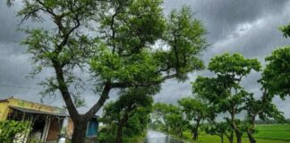 दिल्ली, उत्तर प्रदेश, बिहार समेत कई राज्यों में अगले 12 घंटे बारिश, तेज हवाएं और खराब मौसम की संभावना Weather