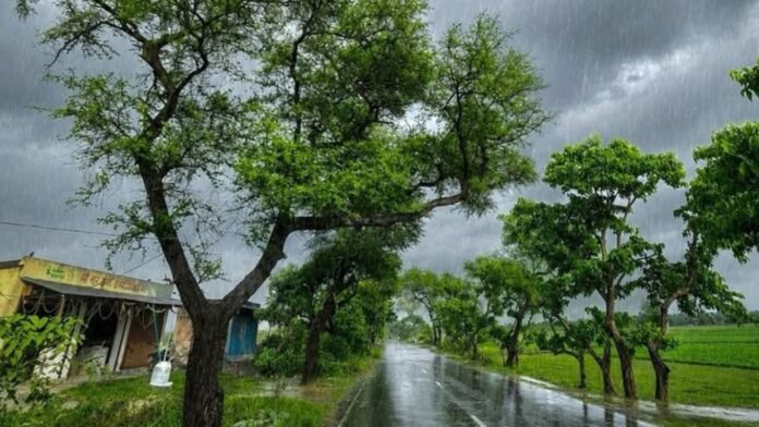 Weather