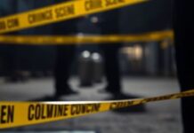 पैसों की खातिर भतीजी बनी कातिल, प्रेमी संग बुआ की हत्या कर जेवर लेकर फरार Jaipur Murder Case Niece Kills Aunt Robbery
