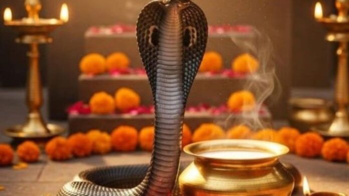 Nag panchami kab hai 2026 Nag panchami kab hai 2026