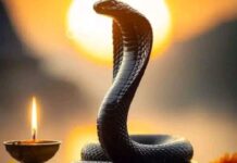 23 साल बाद ये संयोग, सावन के तीसरे सोमवार को पड़ा नागपंचमी, पूजा से मिलेगा दोगुना फल nag panchami 2026