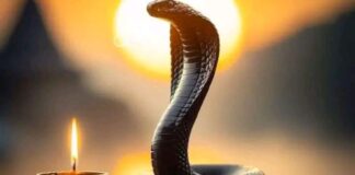 23 साल बाद ये संयोग, सावन के तीसरे सोमवार को पड़ा नागपंचमी, पूजा से मिलेगा दोगुना फल nag panchami 2026