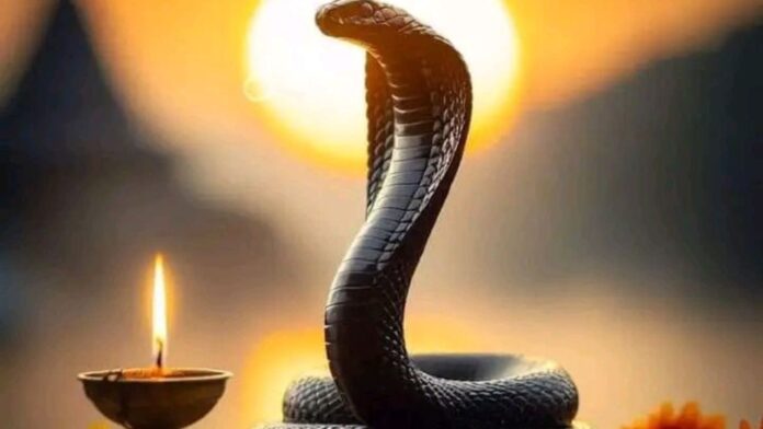 nag panchami 2026
