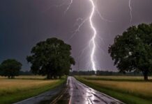 Weather Alert: दिल्ली-यूपी समेत 15 राज्यों में भारी बारिश का अलर्ट जारी, जानें आपके राज्य का हाल weather forecast