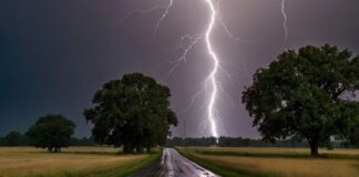 Weather Alert: दिल्ली-यूपी समेत 15 राज्यों में भारी बारिश का अलर्ट जारी, जानें आपके राज्य का हाल weather forecast