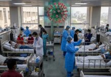 दिल्ली में स्वाइन फ्लू का बढ़ता खतरा! H1N1 केस 2600 के पार, अस्पताल अलर्ट Delhi h1n1 cases 2600 cross swine flu hospitals preparedness