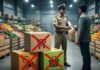 Amazon से BigBasket तक पर FDA की कार्रवाई, धतूरे की लिस्टिंग ने बढ़ाई मुश्किल जानें पूरा मामला Food Licence Suspension