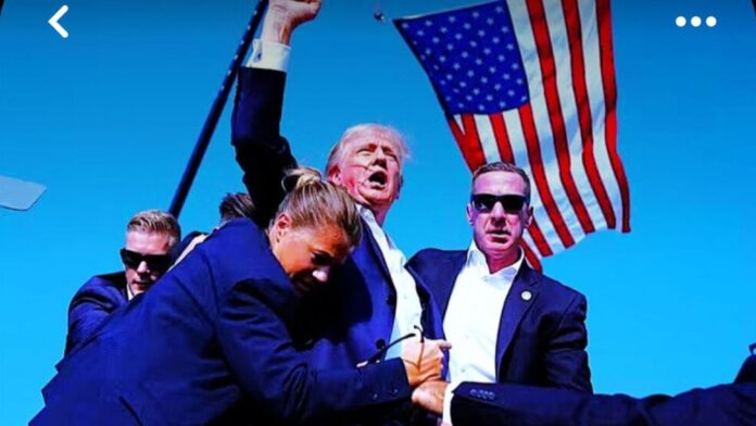 Trump 2020 election, Non-citizen votes 2020-election-news-316260