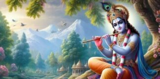 घर में श्रीकृष्ण की तस्वीर लगाते समय न करें ये गलतियां, वरना हो सकती है धन की कमी Janmashtami 2026