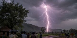 झारखंड में आकाशीय बिजली गिरने से अलग-अलग जिलों में 14 लोगों की हुई मौत, 8 लोग घायल Jharkhand Lightning Strikes