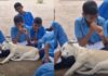 गोद में सोते पप्पी ने जीता इंटरनेट का दिल, वीडियो हुआ वायरल puppy sleeps in lap of student