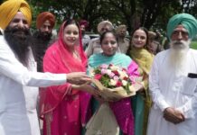 अमरगढ़ में तीज समारोह में उमड़ा महिलाओं का सैलाब, आगामी चुनाव को लेकर भी नजर आया उत्साह Teej Festival