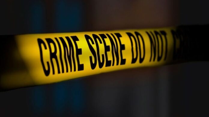 Rajasthan Murder,Domestic Dispute,Grandfather Killing