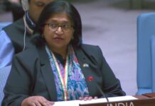 ‘आतंकियों को बचाना बंद करो’, UNSC में भारत ने चीन-पाकिस्तान पर साधा निशाना india attcks pakistan UNSC Yojna Patel