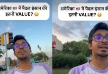 अमेरिका में पैदल यात्री की इतनी वैल्यू? बंदे ने दबाया बटन, गाड़ियों को लगा ब्रेक, वीडियो वायरल X/ @namasteamericawithrahul