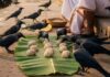 Pitru Paksha 2026: 28 सितंबर को है द्वितीया श्राद्ध, जानें शुभ मुहूर्त और पिंडदान की सही विधि Pitra Paksha 2026 date