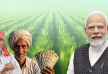 PM Kisan Yojan: खेत होने पर भी नहीं मिलेंगे 6000 रुपये, किसान कार्ड को लेकर आया बड़ा अपडेट PM Kisan Samman Nidhi Yojana bihar farmer ID Card