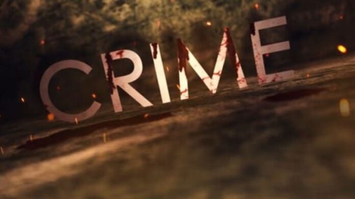 Delhi Crime