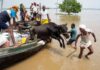Bihar Flood: बिहार में बाढ़ का खौफनाक मंजर! 13 जिले और 29 लाख से ज्यादा लोग पानी में घिरे Bihar Flood Crisis 13 Districts and 29 Lakh People Affected
