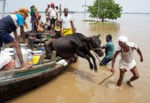 Bihar Flood: बिहार में बाढ़ का खौफनाक मंजर! 13 जिले और 29 लाख से ज्यादा लोग पानी में घिरे Bihar Flood Crisis 13 Districts and 29 Lakh People Affected