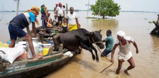 Bihar Flood: बिहार में बाढ़ का खौफनाक मंजर! 13 जिले और 29 लाख से ज्यादा लोग पानी में घिरे Bihar Flood Crisis 13 Districts and 29 Lakh People Affected